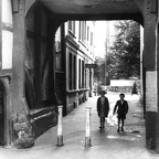 IMG 0050