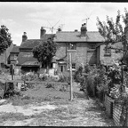 Rear Gardens - Little Boughton Street (2021-03-25 049)