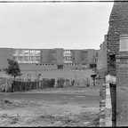 Rear of Cottages on Powells Row (2021-08-15 019)