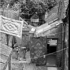 Rear of Properties in Severn Street (2021-06-24 031)