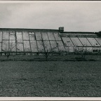 BransfordRoadNurseries(09-12-2011) 006 A