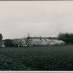 BransfordRoadNurseries(09-12-2011) 003 A